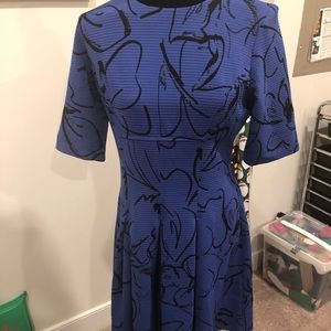 Blue and Black Dress